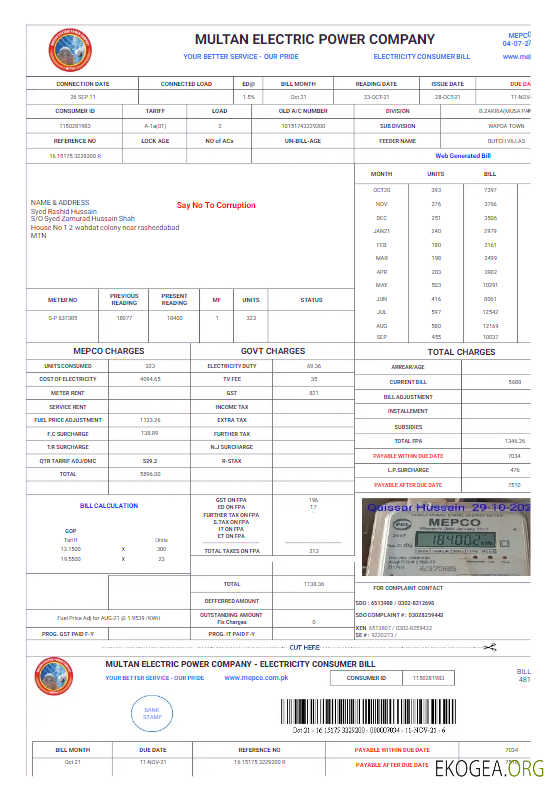 Pakistan Multan electric power utility bill word and pdf template